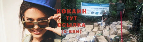 СК Алзамай