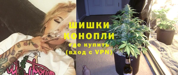 дживик Нефтегорск