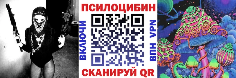 где купить   Сосновка  Галлюциногенные грибы ЛСД 
